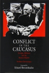 CONFLICT IN THE CAUCASUS