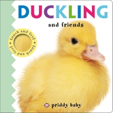 Duckling and Friends Touch and Feel