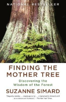 Finding the Mother Tree : Discovering the Wisdom