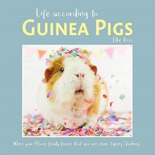 Life According to Guinea