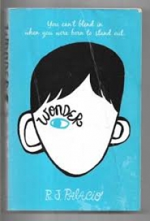 Wonder